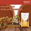 Fe Fe FertilizerFertilizer